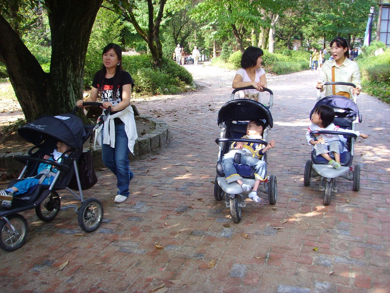보바스치료 문화체험