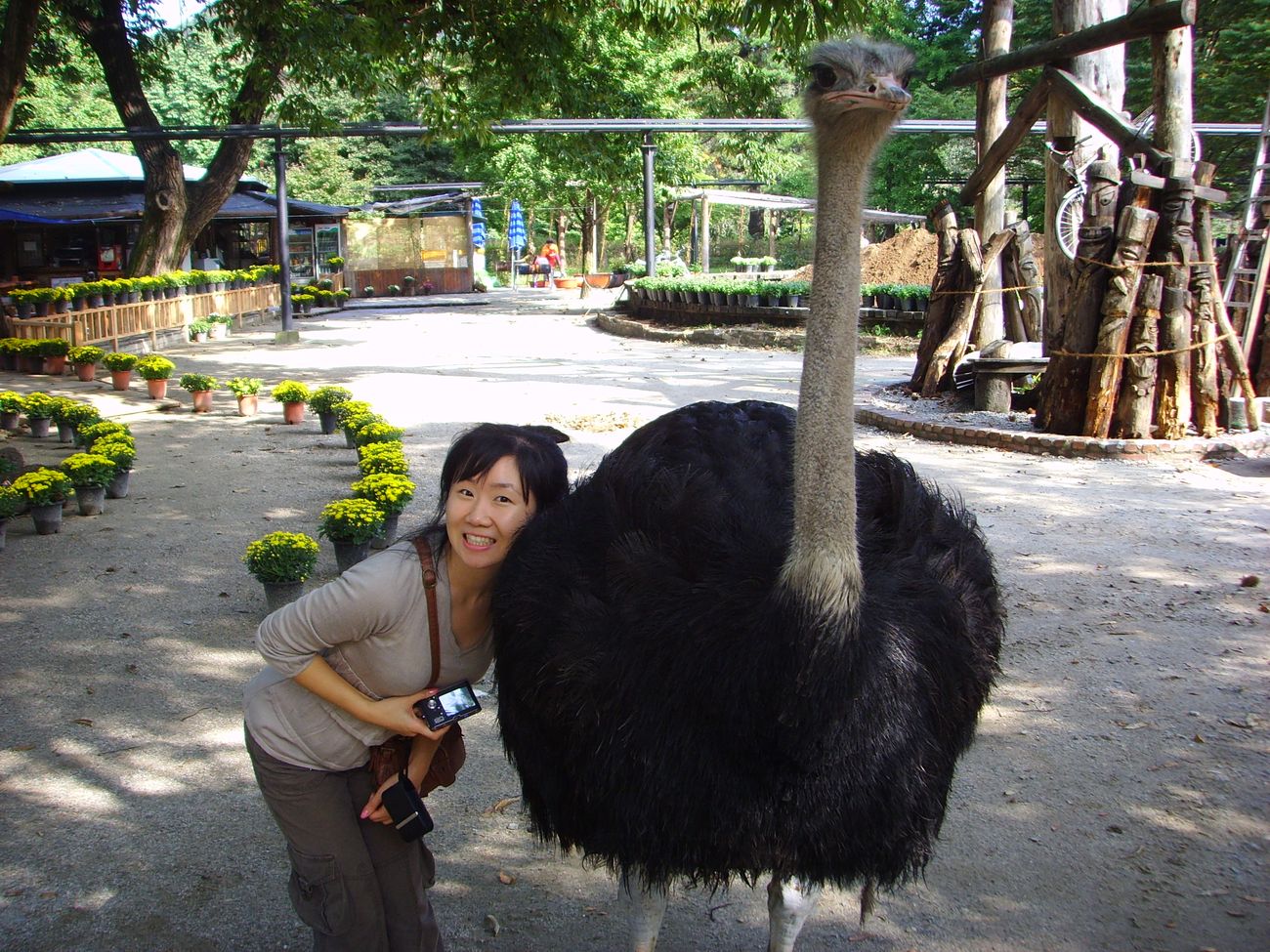 보바스치료 문화체험